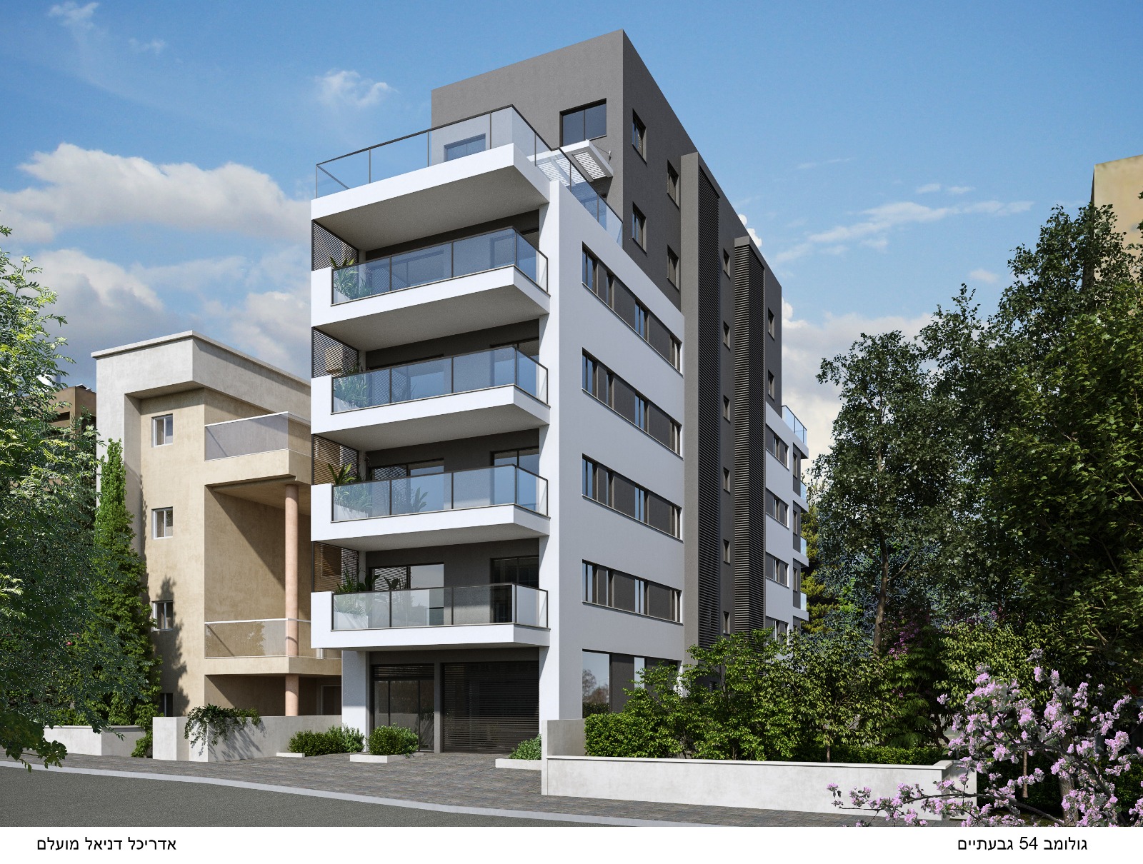 הדמיית החזית